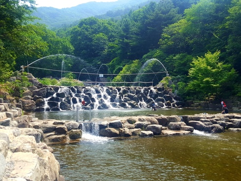 여름 휴가철 물놀이, 축령산자연휴양림에서 즐겨요！
