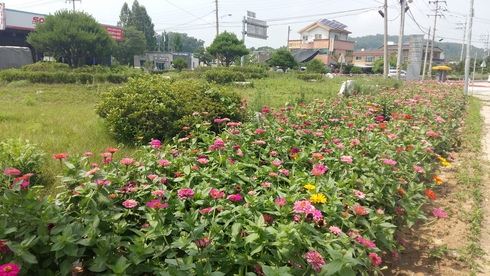 우중충한 장마철 화사한 금가면으로 오세요！