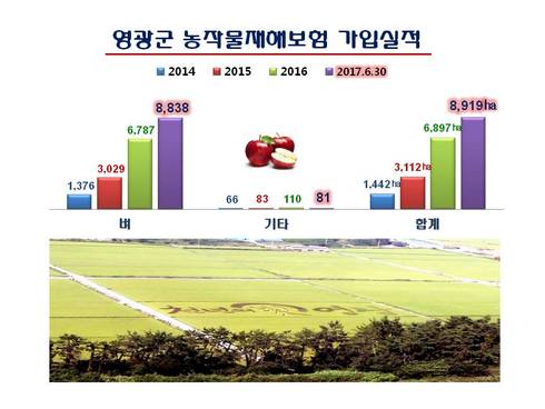 영광군, 벼 농작물재해보험 가입률 도내 최고