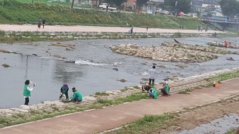 제6회 양평물축제 대한민국빙수페스티벌 맞이 대청소 실시