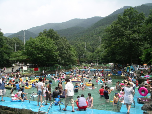 피톤치드 가득한 보령 성주산자연휴양림에서 산림테라피를！