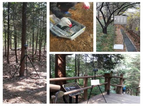 무더위, 가까운 도시숲에서 ‘산림테라피’로 해결하세요！