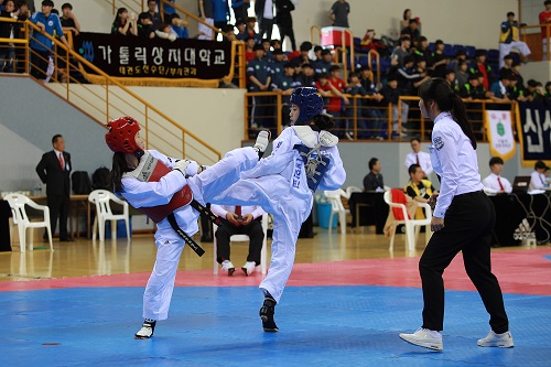 스포츠메카 영광군！제45회 전국대학태권도개인선수권 개최