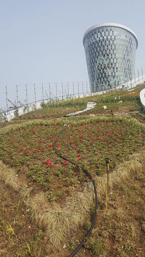 해조류센터 봄꽃으로 갈아입고 관광객 맞는다！