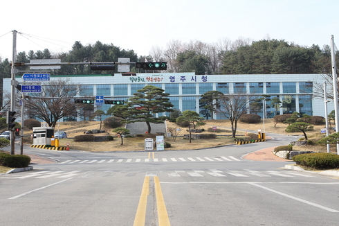 소비자가 원하는 맛좋은 영주사과 생산 나서