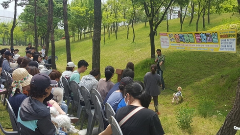 반려견 행동교정 도와드립니다