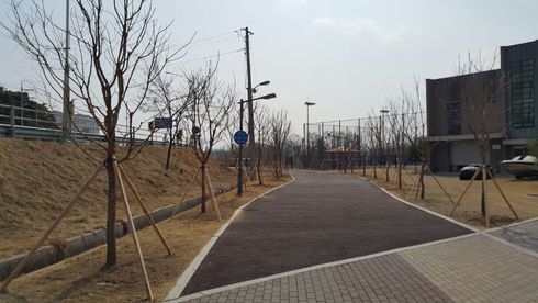 기흥호수 산책로 1km 구간에 이팝나무 가로수길