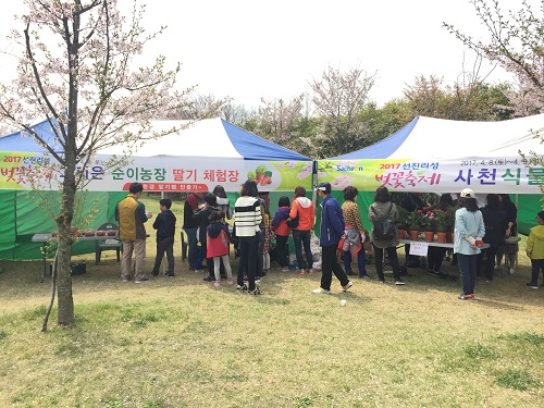 ‘제2회 선진리성 벚꽃축제’ 연다