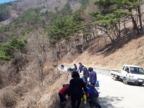 밀양 종남산 진달래축제