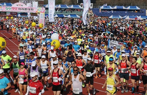 명품마라톤 축제！ 합천 100리 벚꽃길 달려보자！