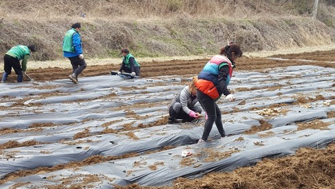 도시농업공동체로 새로운 시작！！！