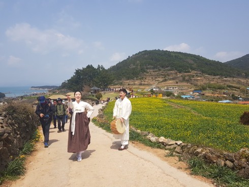 2018 완도 청산도 슬로걷기축제 막 올랐다！