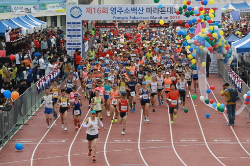 1만여 명 참가…‘제16회 영주소백산마라톤대회’ 성료