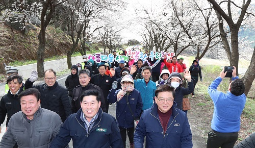 백운산 벚꽃축제 분홍빛 추억 남겨