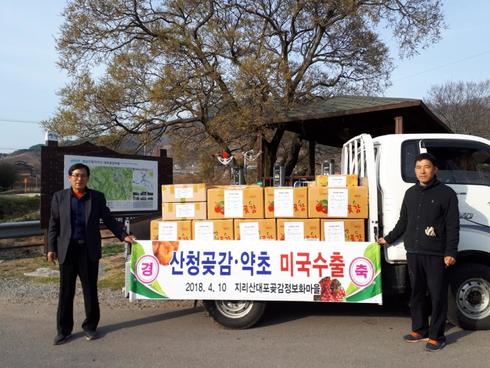 산청 지리산대포정보화마을 곶감 미국 간다