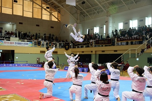 충남 태권도 꿈나무 열전 개최