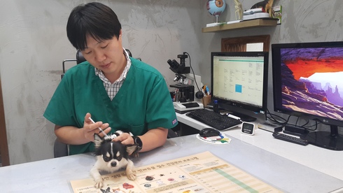 광견병 예방접종
