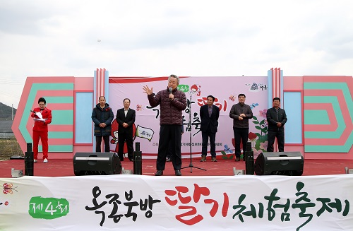 봄나물·딸기·벚꽃축제에 상춘인파 북적