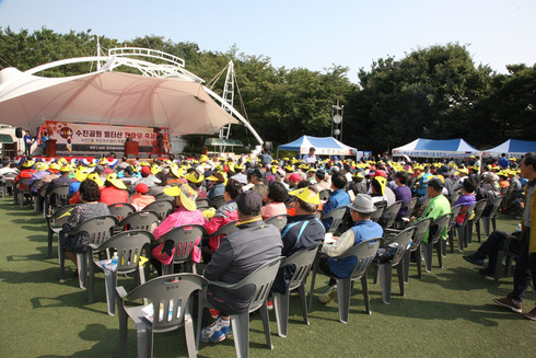 벚꽃 속 성남 벌터산 축제 열린다