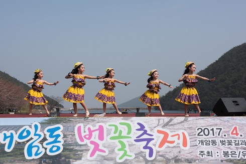 제3회 개암동 벚꽃축제 7일, 8일 부안 상서면 개최
