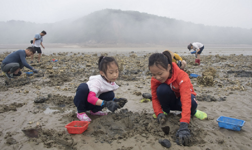오감 일깨우는 봄 바다 만나러 어촌으로 떠나요！