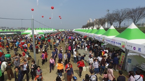 딸기축제 가즈아∼！ 참을 수 없는 새콤달콤함... 동고동락 논산 물들인다