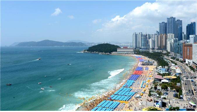 국제 스포츠 행사 개최지로 부산이 주목 받고 있다!