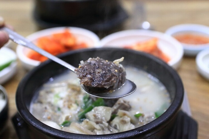 [그곳에가면 맛이 보인다] 속초 맛집 맛에 빠지다