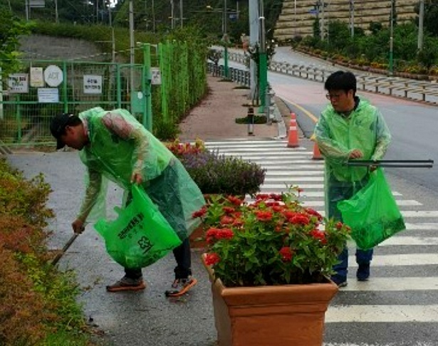 새홍천로타리클럽, 추석맞이 국토대청결 활동 실시