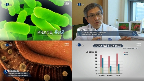 인체의 방어벽 장, 핵심인 장벽 강화에 특화된 유산균 조명