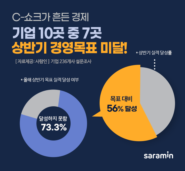 “C-쇼크가 흔든 경제, 기업 73%가 상반기 경영 목표 미달!”