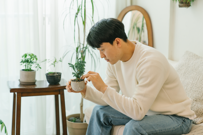 “플랜테리어, 인테리어에서 라이프스타일로”