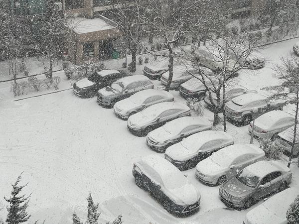 운전자보험 추천상품! 운전자보험 비교사이트에서 확실히 비교해보고 가입하는 꿀팁