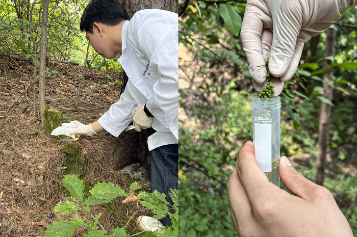 생활맥주 2023 서울콘 메인 주류 협력사 참여.. “남산 소나무 효모로 만든 ‘오!서울!IPA’ 선보인다”