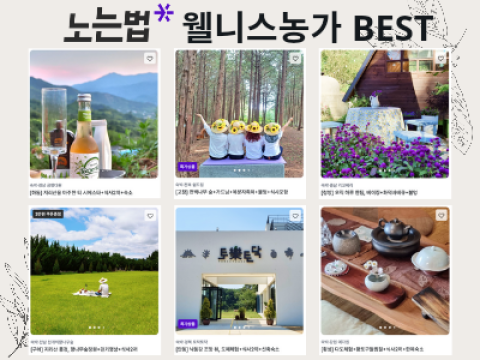 노는법, 성장관광벤처 선정 ... 농촌 관광의 ‘웰니스 열풍’ 주도 기대