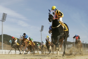 트리플크라운의 첫 관문...KRA CUP Mile(GIII) 대상경주