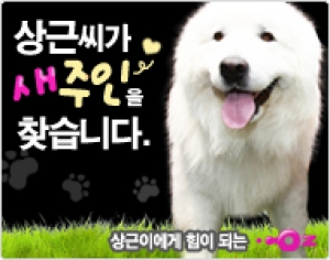 LG텔레콤 ‘오즈’, 다음 검색어 1위 도전
