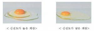 \"여름철에는 저온유통 계란 구입하세요\"