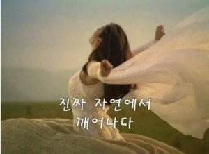 ‘김태희의 하루’ 동영상으로 소켄비차 인기 상승
