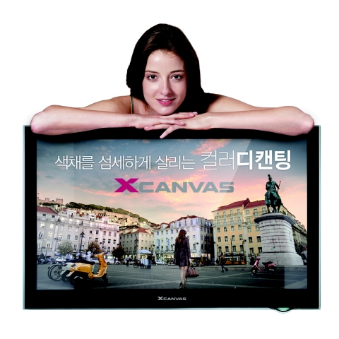 LG TV, 섬세한 자연색 기술로 세계시장 석권 야심