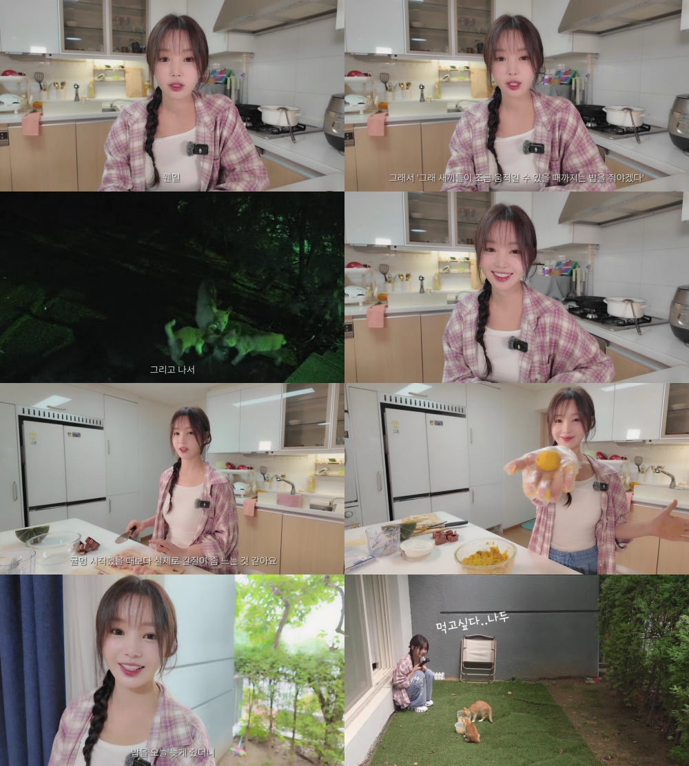 남규리 길냥이 밥 챙기다 발견한 장면, 씨야 20주년 앞둔 따뜻한 일상